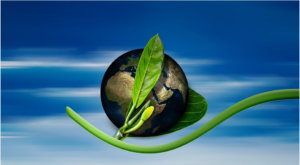 environmental friendly